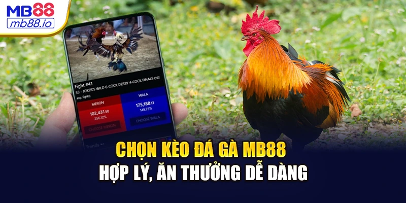 Chọn kèo đá gà MB88 hợp lý, ăn thưởng dễ dàng