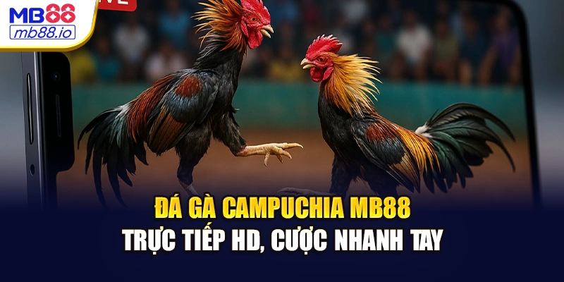 Đá Gà Campuchia MB88 - Trực Tiếp HD, Cược Nhanh Ăn Nhanh
