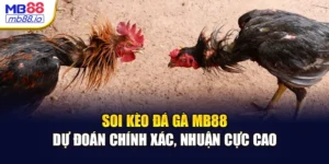 Soi Kèo Đá Gà MB88 - Dự Đoán Chính Xác, Nhuận Cực Cao