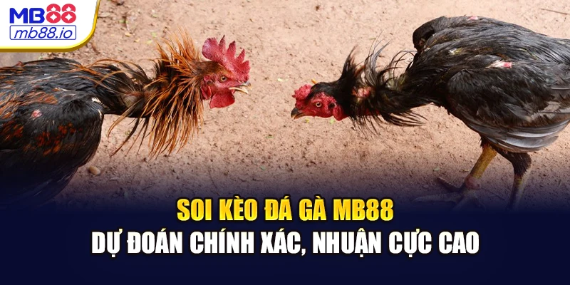 Soi Kèo Đá Gà MB88 - Dự Đoán Chính Xác, Nhuận Cực Cao