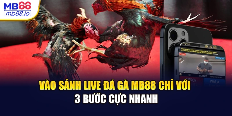Vào sảnh live đá gà MB88 chỉ với 3 bước cực nhanh